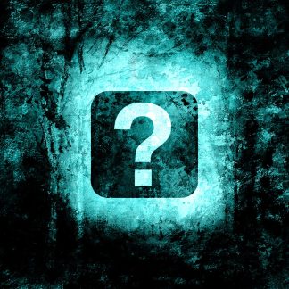 Online Consultation/Private Tutoring (30 mins)