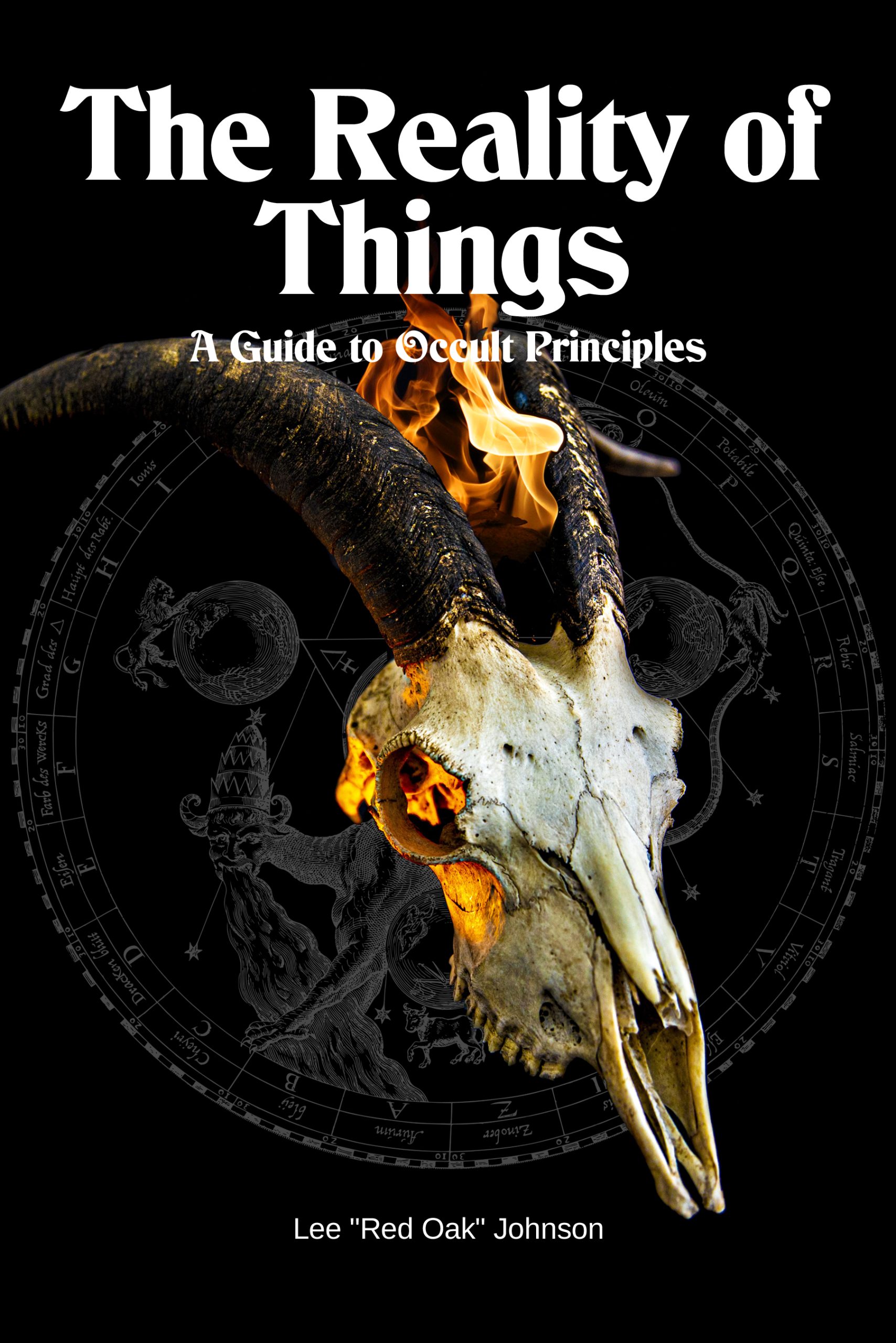 The Reality of Things - PDF